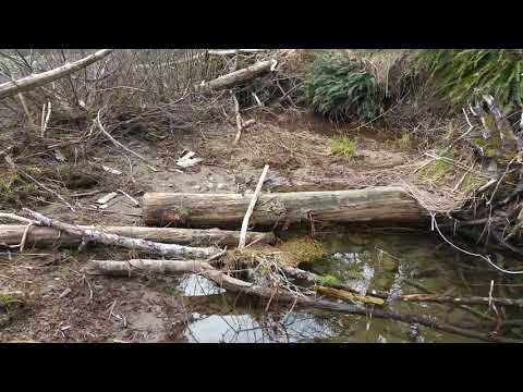 Râu între munte și  ocean în Canada  (în Romanian language)