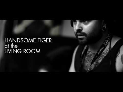 Handsome Tiger - Shambhala 2017 by Rebel Cause Films