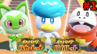 【ポケモンSV🔴LIVE】殿堂入りに向けて　雑談配信