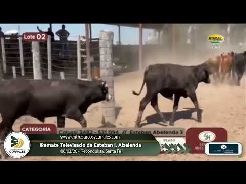 06-03-26 - Remate Televisado de Esteban I. Abelenda - Reconquista, Santa Fé