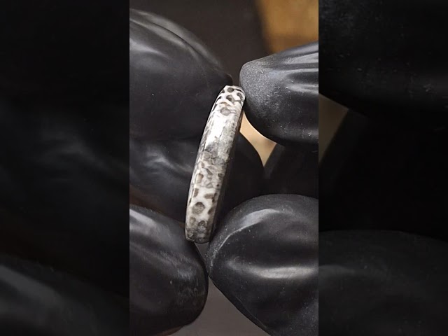 حجر فوسيل احفوري طبيعي