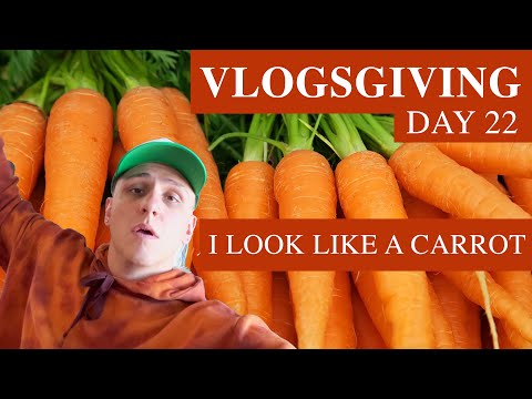VESTI-ME COMO UMA CENOURA (saudável) - vlogsgiving dia 22