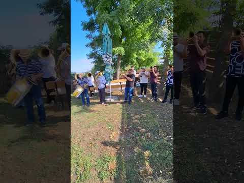 Fanfara lui Raducu de la Valea Mare tel.0772135953