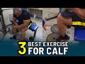 3 Best Exercises For Calf Muscle