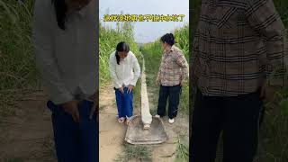 Download lagu v0300fg10000d2o4497og65nrsdlg9r0 mp3