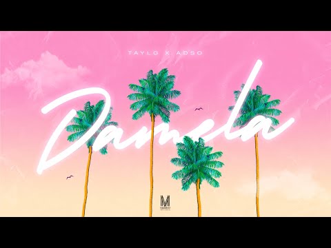 Tayl G x ADSO - DAMELA