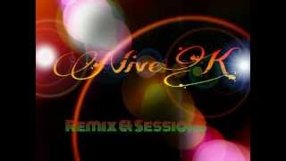 Chris Schweizer vs David Guetta - Ain't a party generation(DJ Nivek Remix)