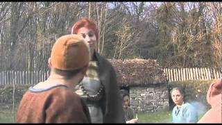 Viking Settlers in Ireland