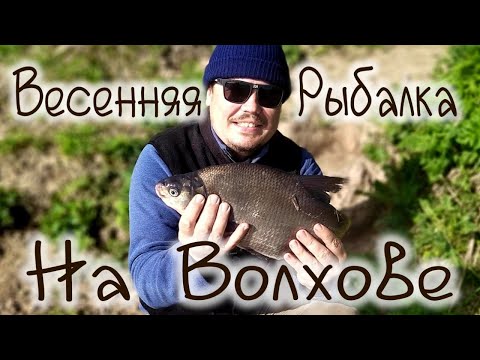 Фото рыбалка на Волхове фидер, синец, лещ, окунь, карась,fishing on the Volkhov, blue bream, roach, bream