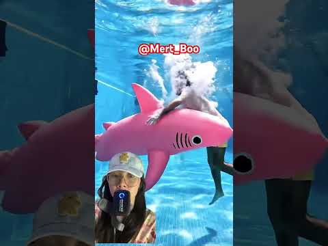 Tangkap ikan hiu pink dalam kolam⁉️😆😨😱@Mert_Boo