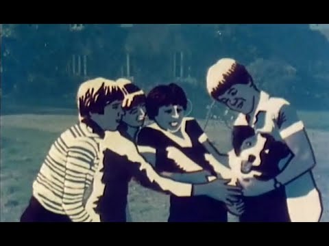 Enid Blyton Fünf Freunde Folge 11 bis 26