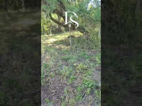 VENDO TERRENO EN ESTANCIA VIEJA