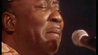 Muddy Waters - I Got My Mojo Working