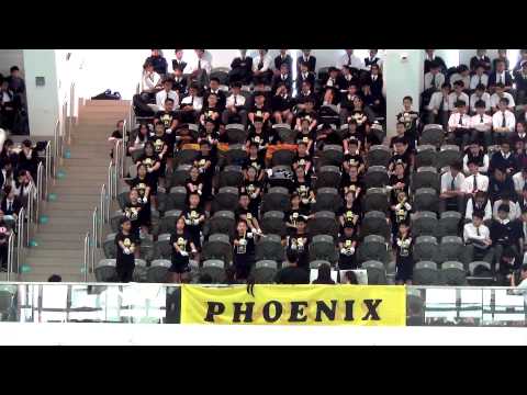 2014-2015 Swimming Gala Cheering Competition - Phoenix