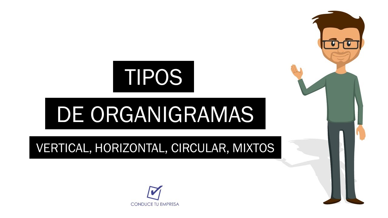 Tipos de organigramas | Vertical, Horizontal, Circular, Mixtos