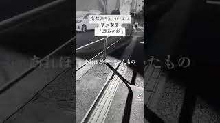 退転の秋shorts