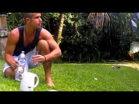 Neti Cleansing : Prana Yoga College Teacher Training