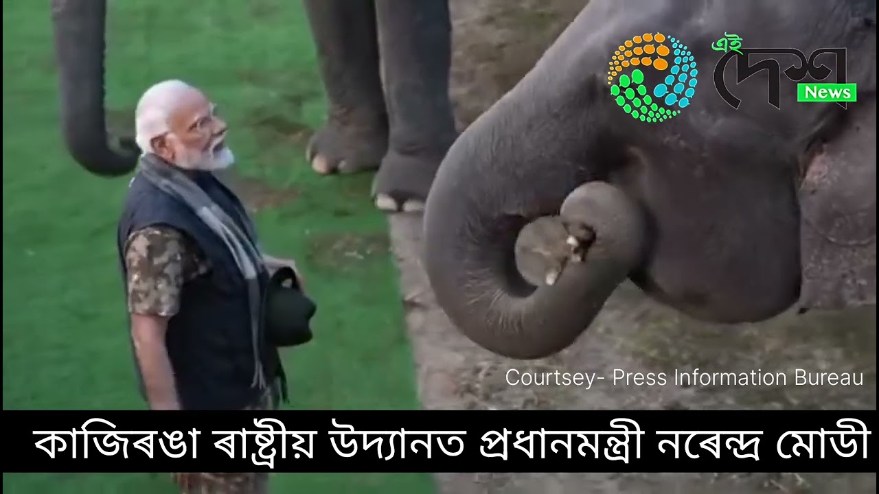 বিভাগীয় হাতী আৰু জীপচিৰে কাজিৰঙা ৰাষ্ট্ৰীয় উদ্যান দৰ্শন দেশৰ প্ৰধান মন্ত্ৰী নৰেন্দ্ৰ মোডীৰ :