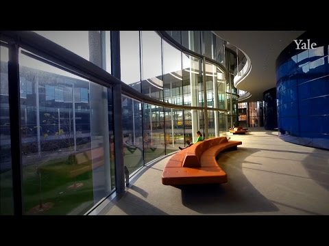 download lagu mp3 mp4 Yale School Of Management, download lagu Yale School Of Management gratis, unduh video klip Download Yale School Of Management Mp3 dan Mp4 Unlimited Gratis