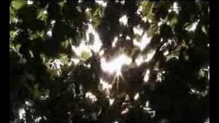 Falkenbach - Ultima thule