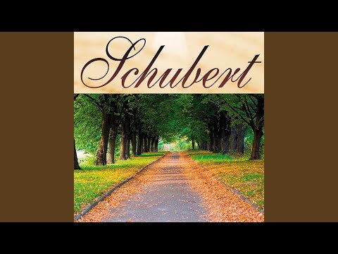 Serenata D.957 - Schubert