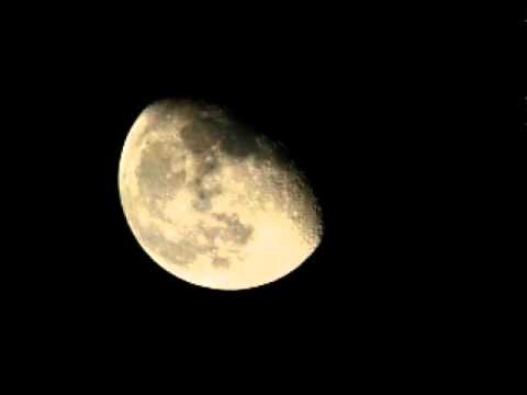 aldotic - vesper luna