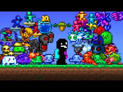 This is Terraria's BEST Summoner Mod...