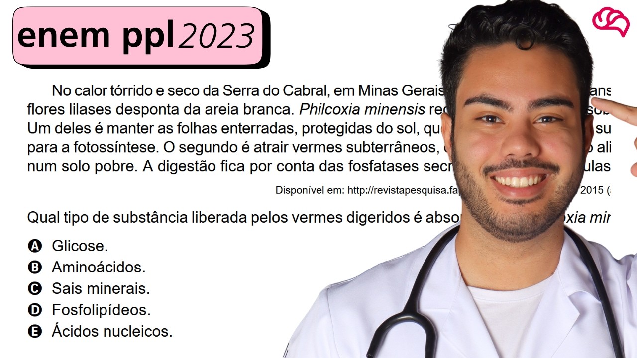 Resolução em Vídeo — Questão 91 ENEM 2023 PPL
