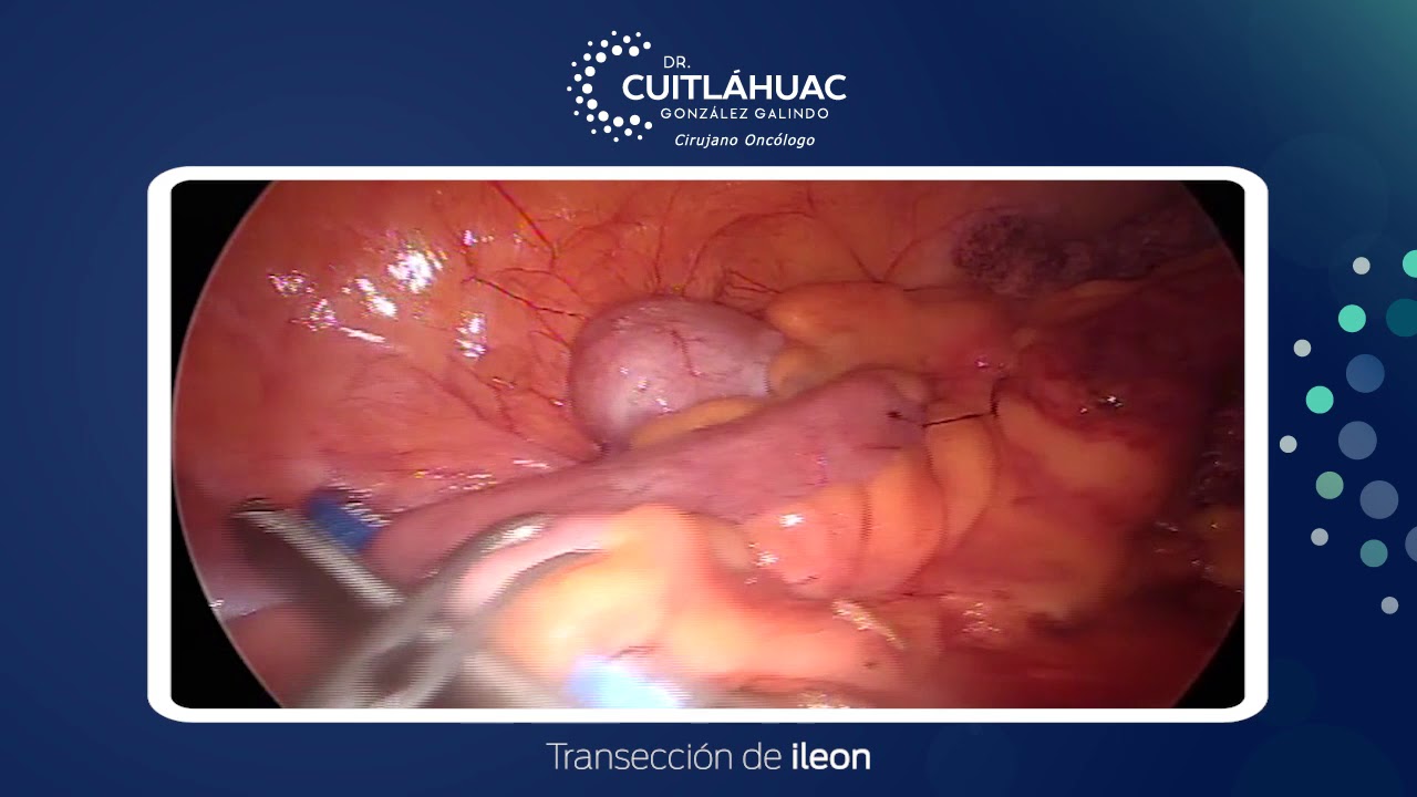 Cuitlahuac González Galindo-8