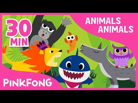 Animals, Animals | Baby Shark and More | +Compilation | Animal Songs | Pinkfong Songs for Children