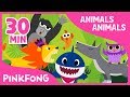 Animals Animals Baby Shark And More Compilation Animal Songs Pinkfong Songs For Children