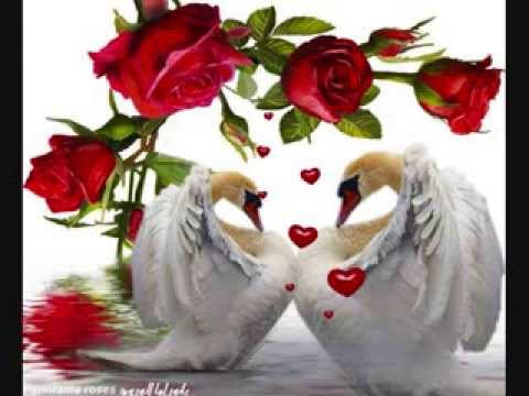 Lina  iš  grupės  Vidurnaktis  ir Asta Pilypaite - Apie mus