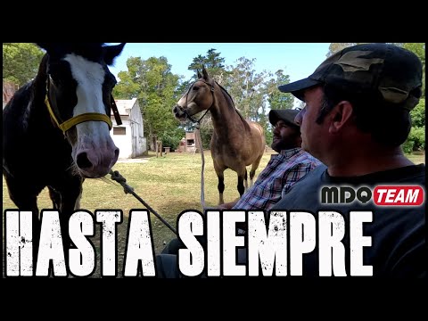 El se FUE pero ELLOS seguiran trotando...