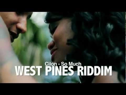 CLION-SO MUCH EDITED VIDEO WEST PINES RIDDIM VIDEO MEDLEY