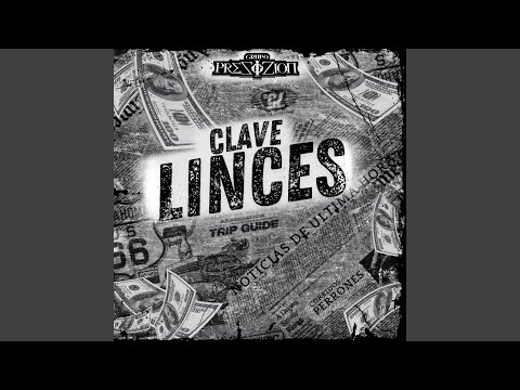 Clave linces