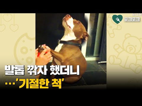 아이콘
