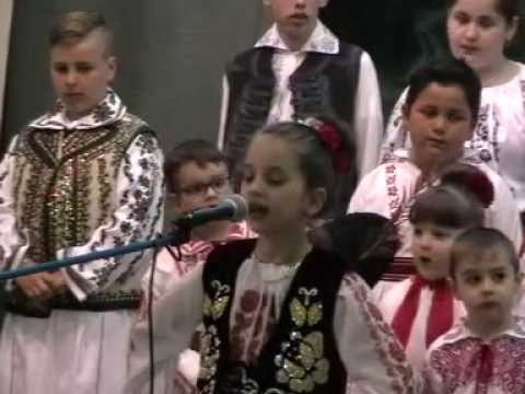 Alexandra Georgiana Maleta  - Costei 2015