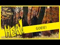 HEA! Goeie! Paardenfotografie