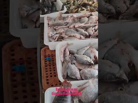 peixes bom e preço na feira livre de Taquarana em Alagoas