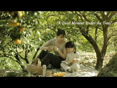 “A Quiet Moment Under the Trees”. /a playlist for quiet hours/