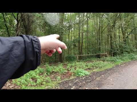 MongoTV_3729 - Gåtur Til Frederiksdal FREDAG 20.September 2019