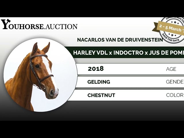 Nacarlos homevideo jumping