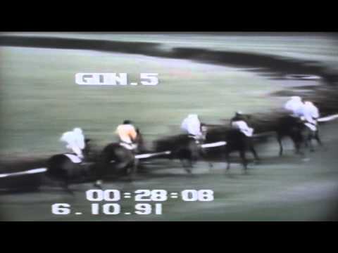 Wielka Warszawska - 6.10.1991 - Kliwia (Pyjama Hunt - Knieja)