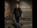 Terry Silver Beats Up Stingray - Cobra Kai S4-E8