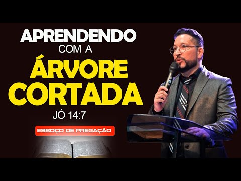 ✅SERVING OUTLINE ON THE CUT DOWN TREE JOB 14:7