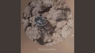 If You Want It, I&#39;ve Got It