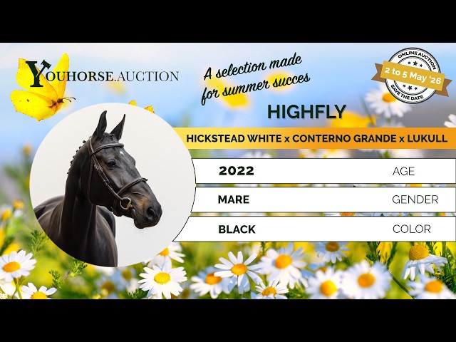 Highfly