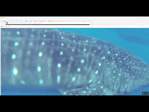 Image Dehazing Flask App in Python Projects