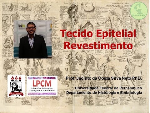 1-Tecido Epitelial: Revestimento. Nível de graduação