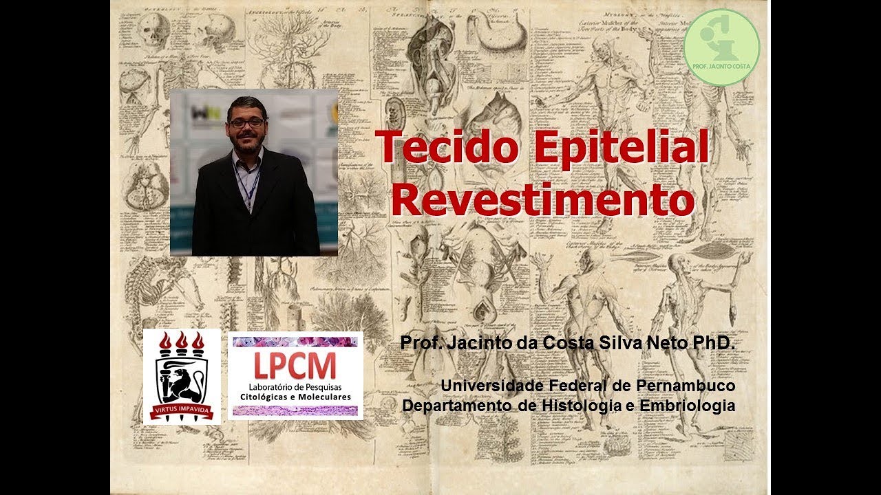1-Tecido Epitelial: Revestimento. Nível de graduação